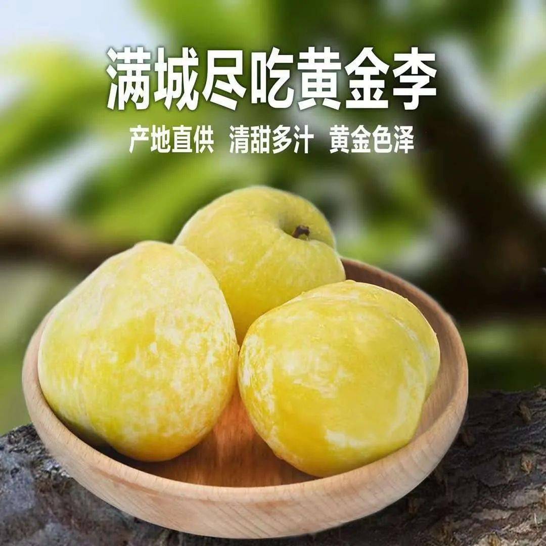 一口爆汁!遇见茶陵泰和仙黄金奈李,是这个夏天最甜的相遇