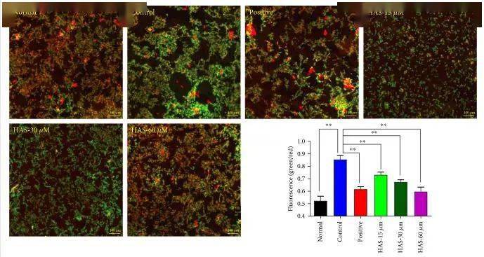 oxidmedcelllongev成都中医药大学通过wb等方法揭示花椒