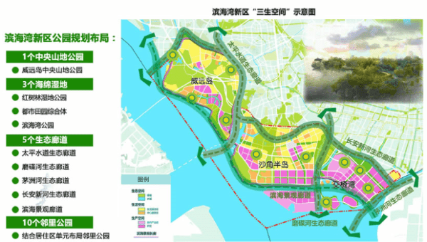 (以下简称《通告,暂停滨海湾新区规划范围内各类建设行为