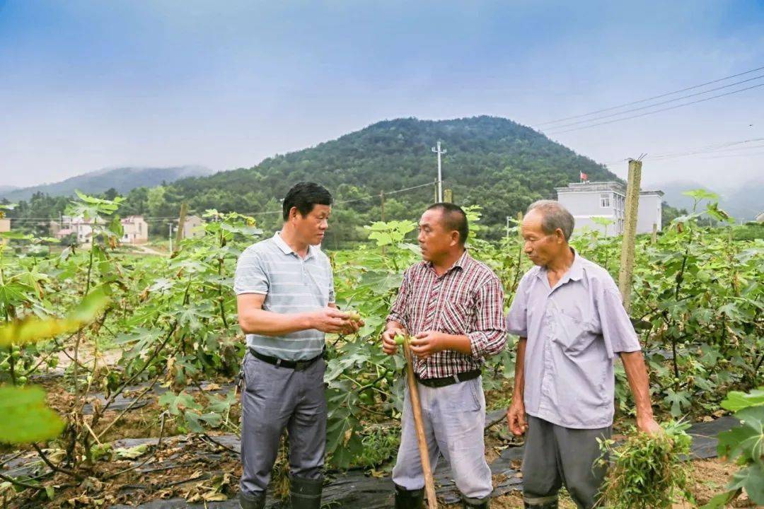 铜陵有色集团公司深入开展跟着劳模去扶贫活动