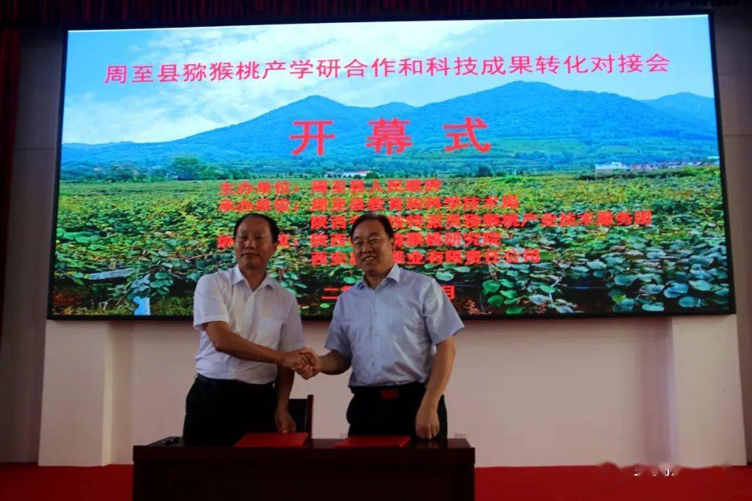 省科学院副研究员陈志坤周至县人民政府副县长朱璇致辞"周至猕猴桃,鲜