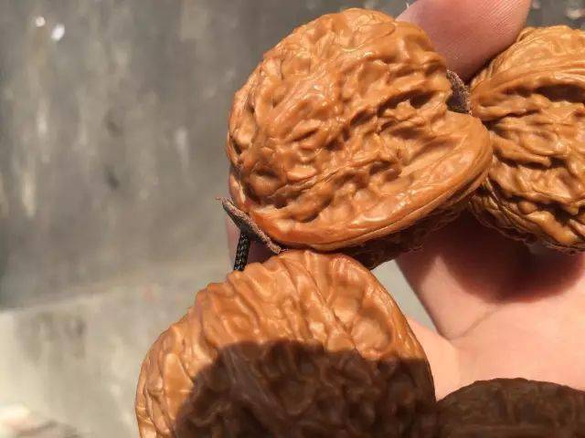 文玩核桃只要一说有黄尖就等于废了.