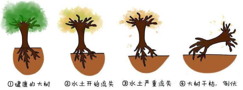 严重时甚至可能脱落轻则出现牙齿松动,移位水土就会逐渐流失一旦牙周