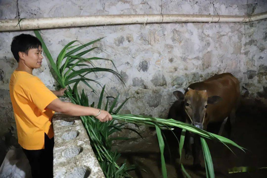 弄勇村,用水不再愁(大国小家·扶贫印记)