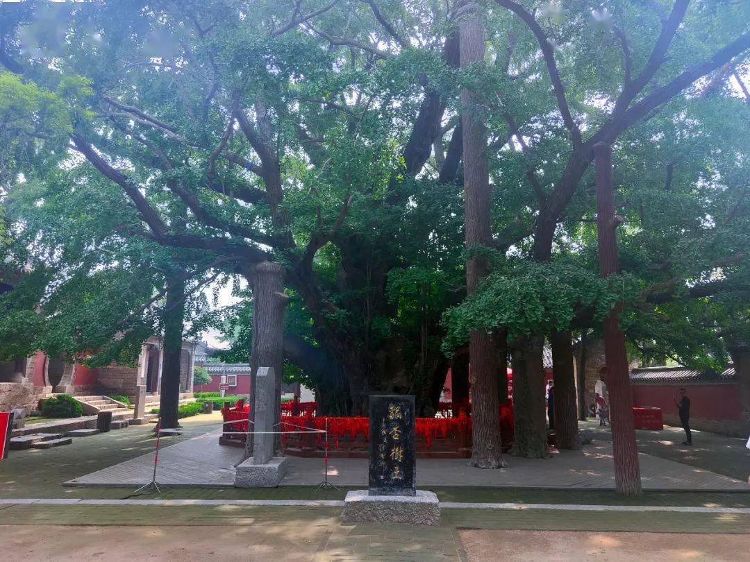 山东日照莒县浮来山图片