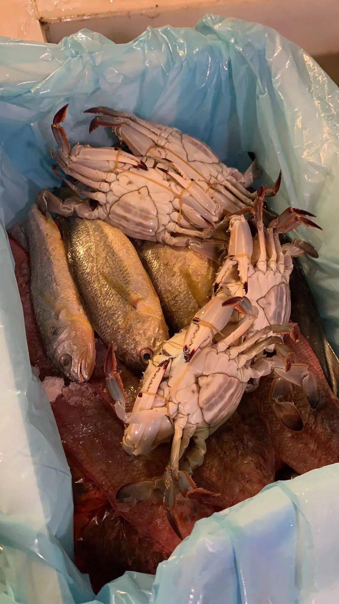 温岭人超爱吃的海鲜终于回归了!至于价格嘛