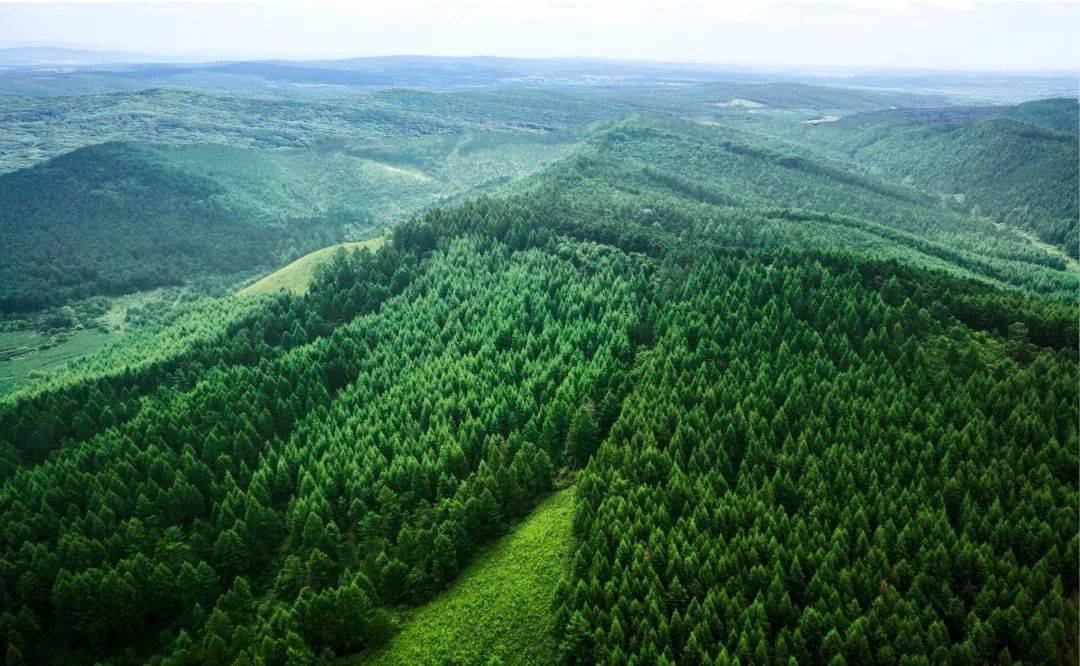 寒葱顶子国家级森林公园