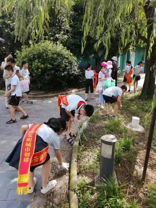 "真善美"大实践(23)┊暑假里,家门口,让我们一起撸起袖子做公益!