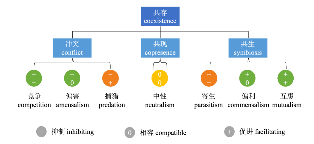 扎西桑俄高煜芳青藏高原的人和棕熊如何共存