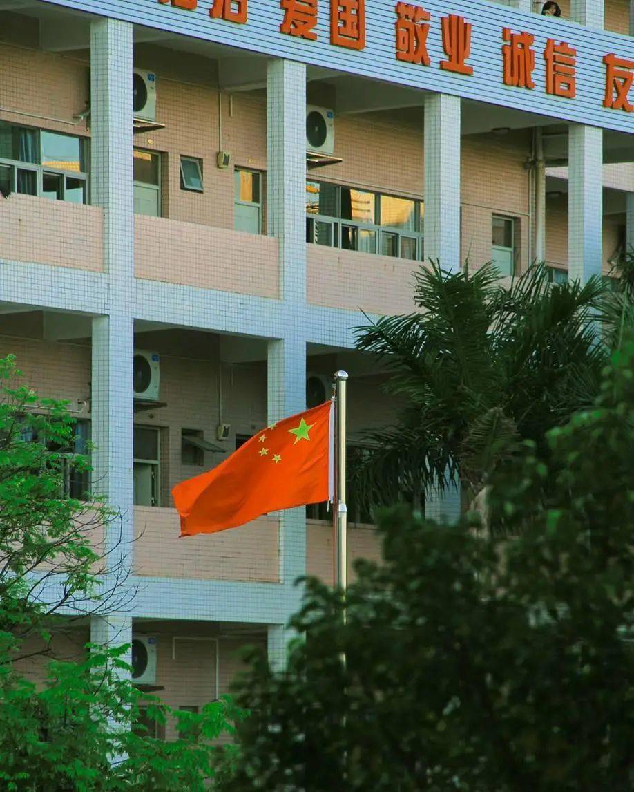 东莞五中总想等年华逝去再来追忆你