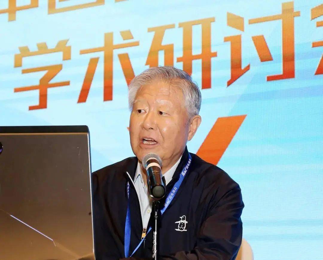 中国工程院院士,天津大学教授余贻鑫薛禹胜院士做《关于振荡研究的