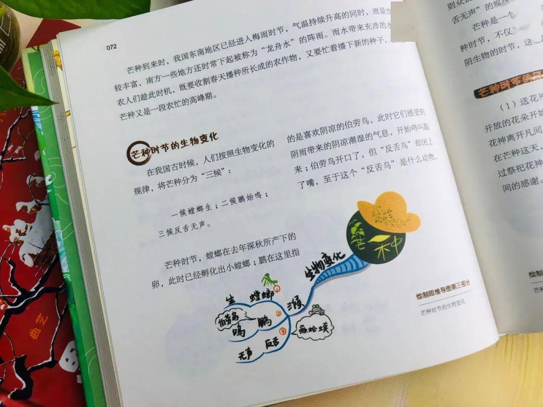 用"思维导图"讲述中国传统文化!古诗,百科,节气.一张图秒懂!