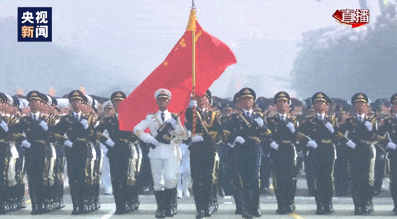 566_313gif 动态图 动图