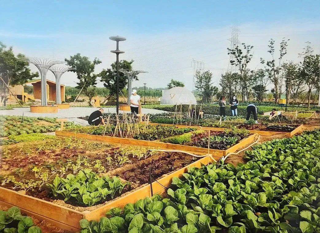 走进海绵城市里的生态花园,看植物之美铺展在眼前 | 青禾旅读