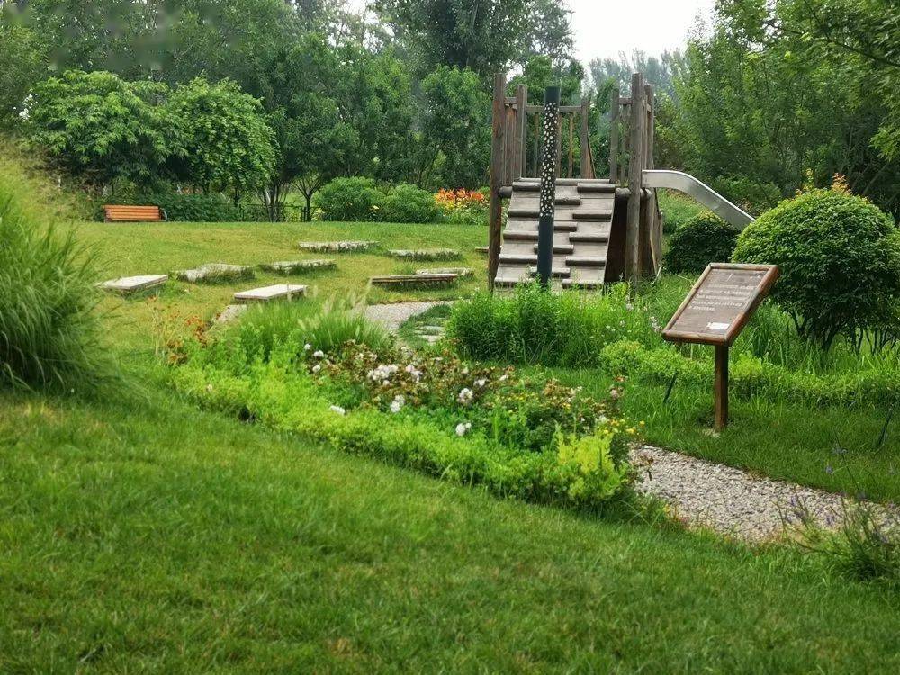 走进海绵城市里的生态花园,看植物之美铺展在眼前 | 青禾旅读