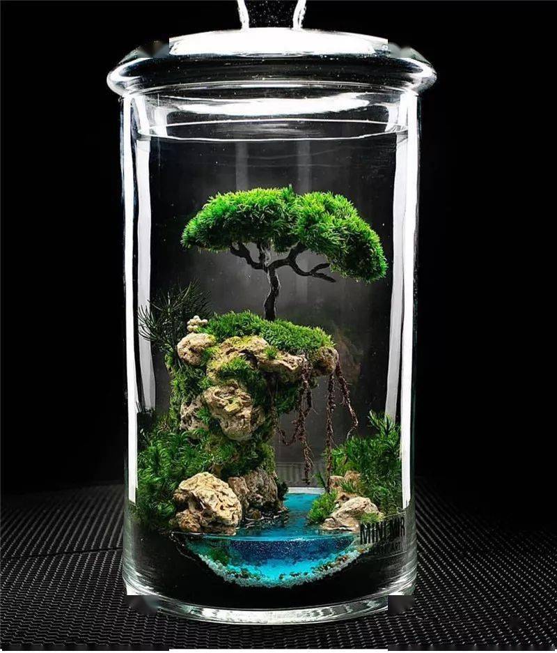 谁将梦想的花园装进了玻璃瓶