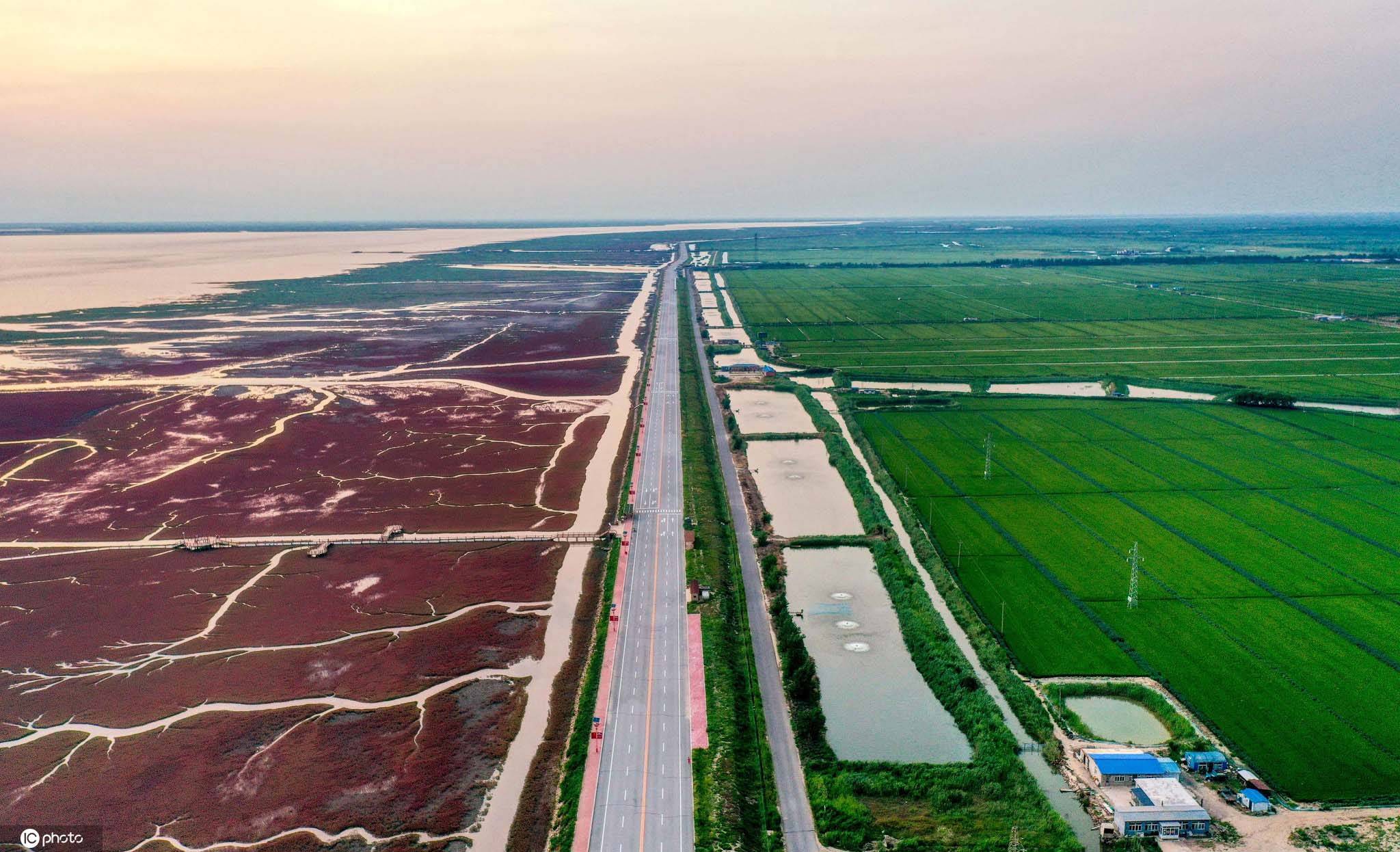 航拍辽宁盘锦20余万亩血色海滩 美得惊艳