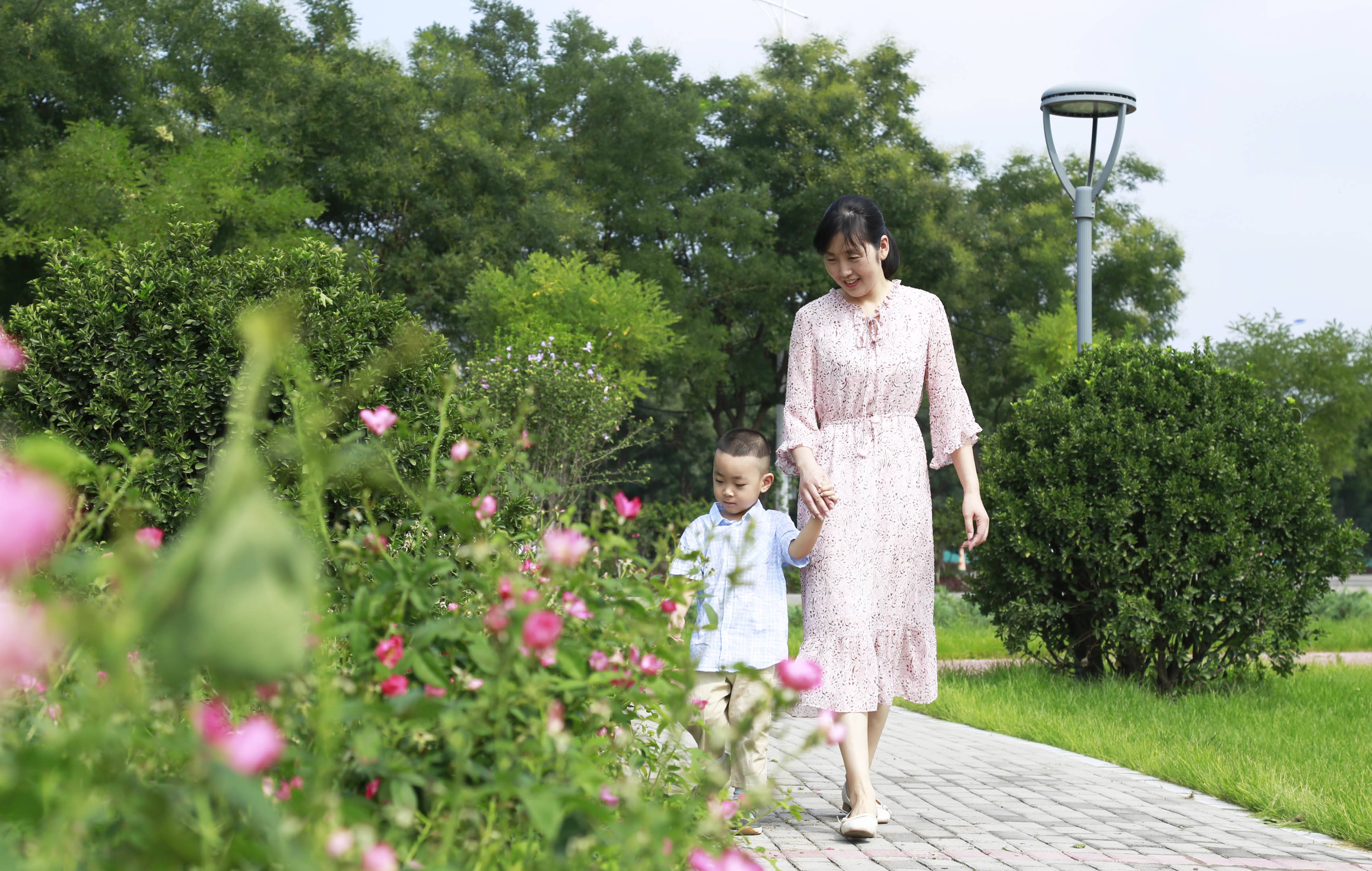 8月8日,市民在河北省邢臺市南和區文和園散步.