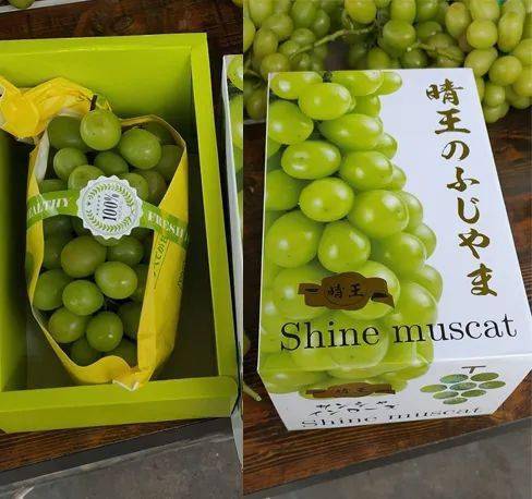 日本天价葡萄图片