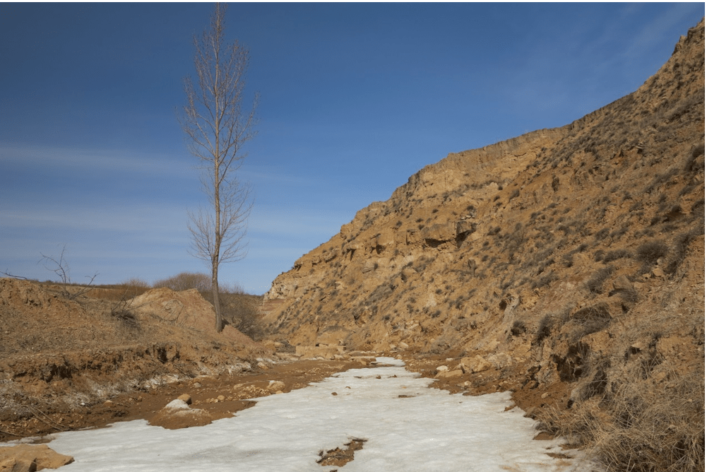 论文精选冻融作用下土壤分离过程及侵蚀阻力响应探究