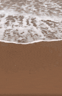 搞笑动态趣图gif:小旺说爸爸妈妈和我