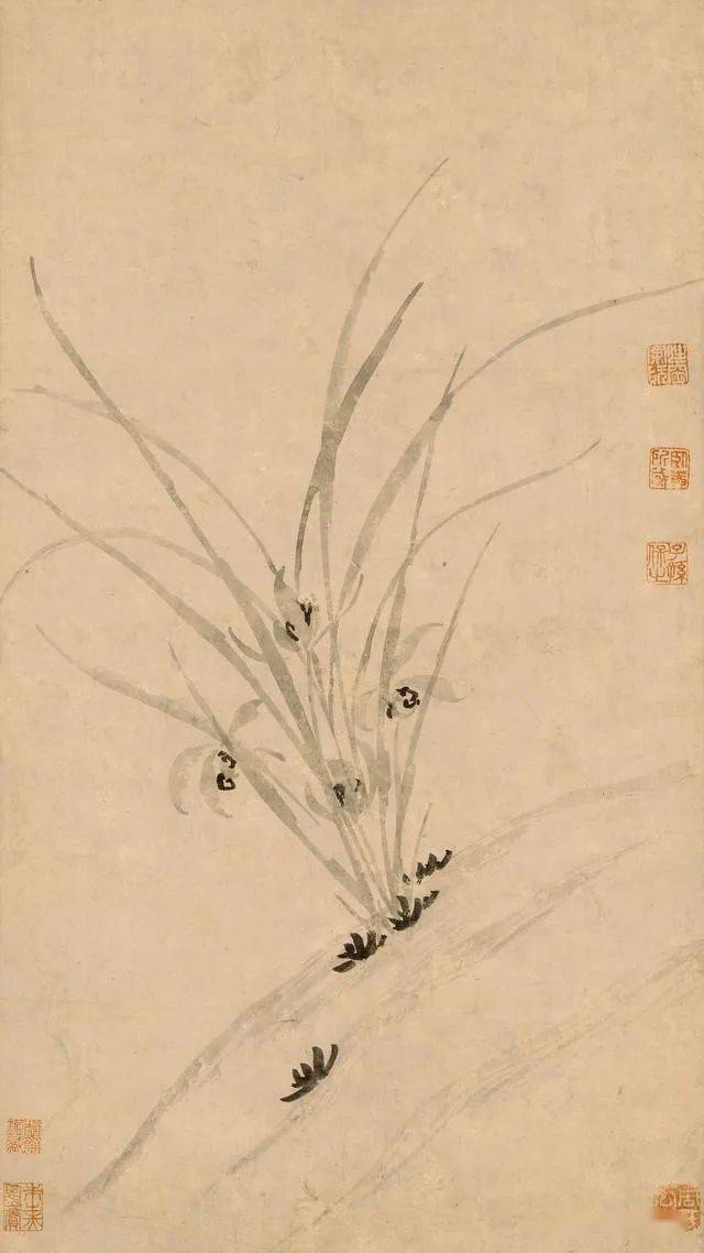 明·陳淳《蘭花圖》《蘭花圖》 明 徐渭明 文徵明《蘭竹圖》雙鉤蘭花