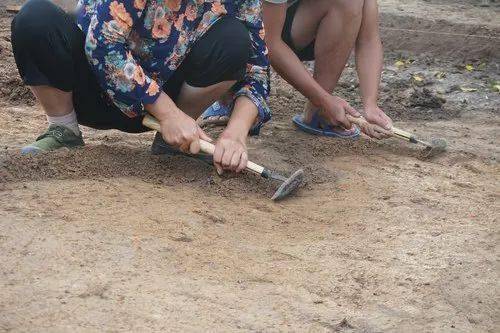 我们学考古的,真的不盗墓,也不搞收藏!