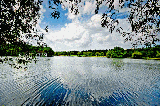 "水晶蓝"刷屏,在杨浦这些公园邂逅"天空之城"_蓝天