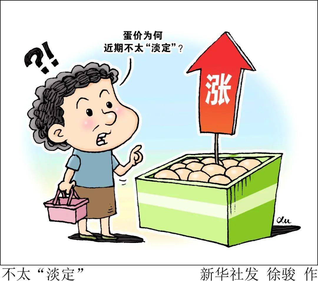 台湾很多人信的鸭蛋教_台湾鸭蛋价格创新高_真正的台湾高山茶价格