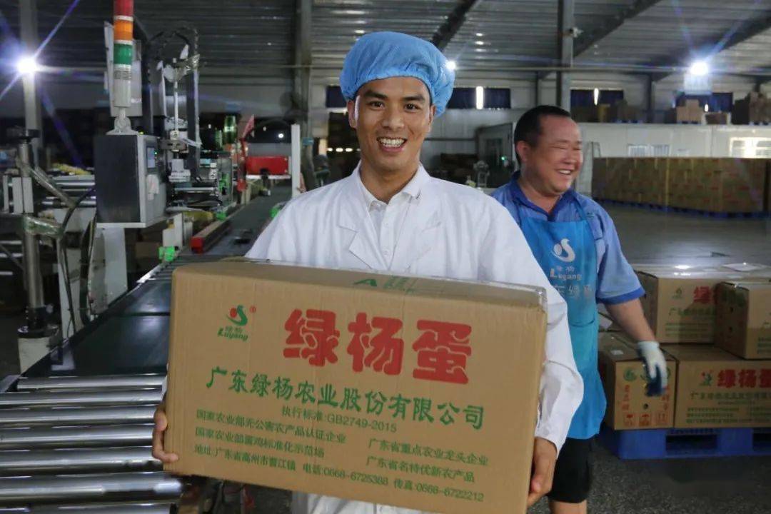 质量管理体系认证,进军澳门市场,规范化生产打造放心"绿杨蛋"丨品牌蛋