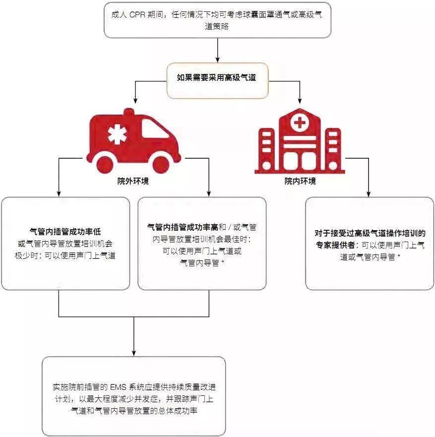 心肺复苏流程图英文版图片