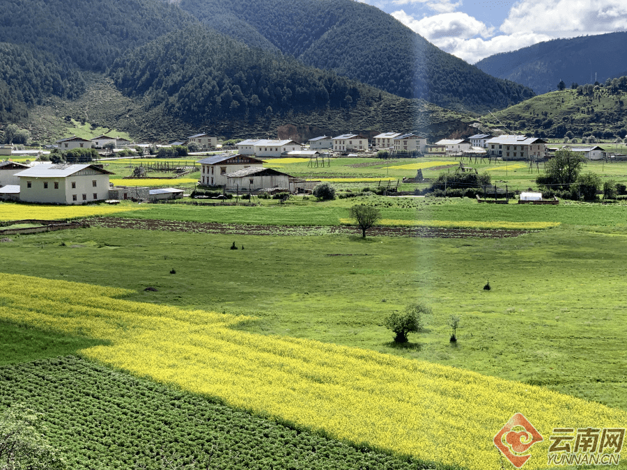 小中甸镇一角 供图