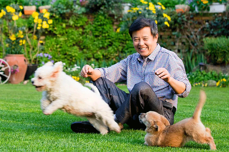 70岁安徽爷爷,花一万块打造5000㎡中国花园_老张