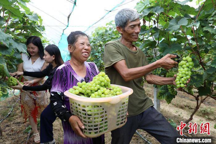 旅游名城广西桂林创新旅游扶贫新路径 民众实现脱贫致富