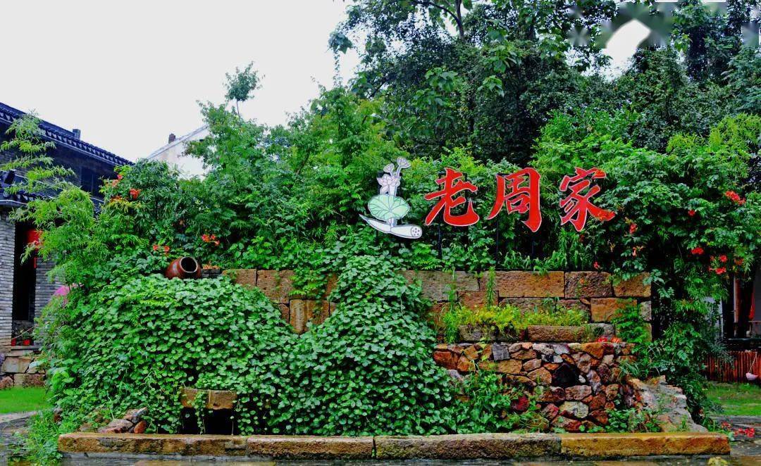 欣欣然然,点点滴滴静静地安排好了一切阳山老周家莲文化田园度假村