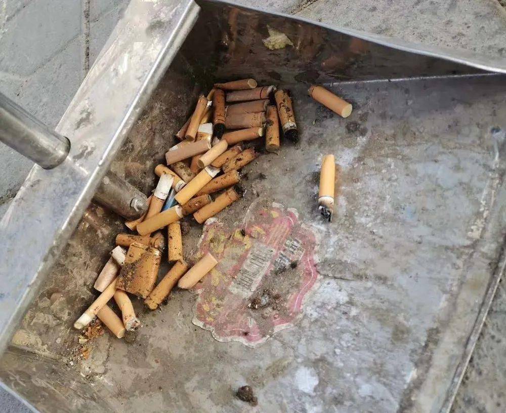 新时代文明实践烟头不落地金昌更美丽