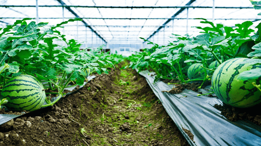 淮安要脱贫摘帽更要锦上添花丨强国小康路⑥新华网