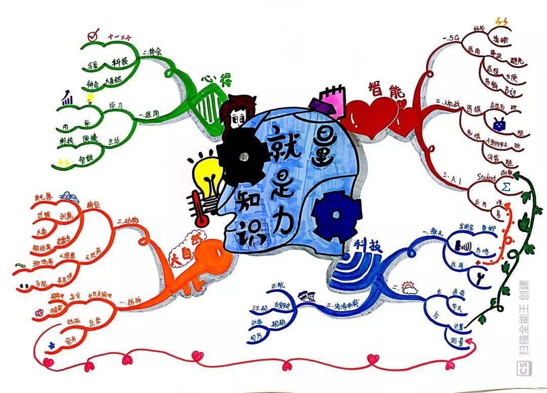 专业考级赋能人生世界思维导图理事会专业考级福州俱乐部第四期