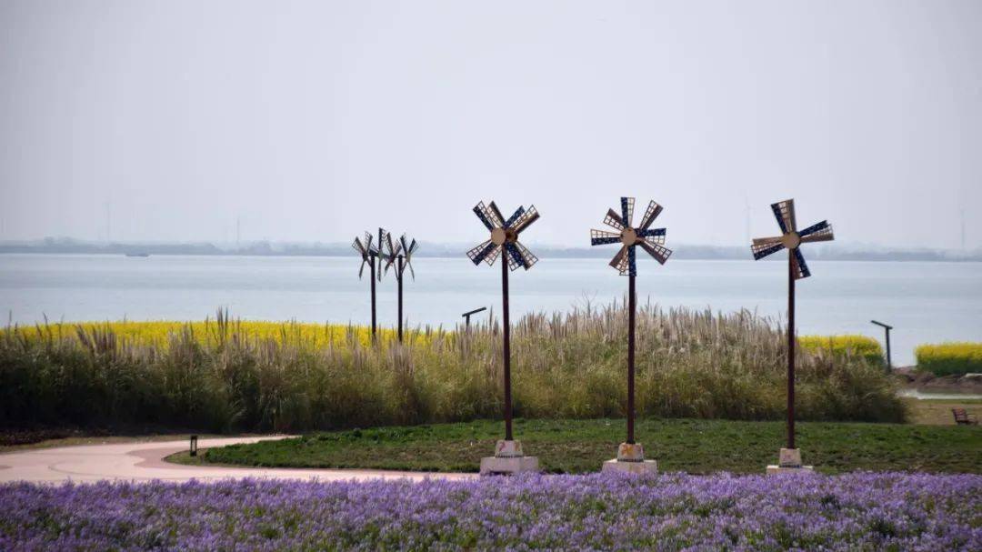 蒋坝,一个能治愈你的小镇.