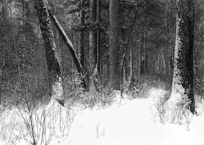 杨雨堂写实钢笔风景画,精细如黑白照片!