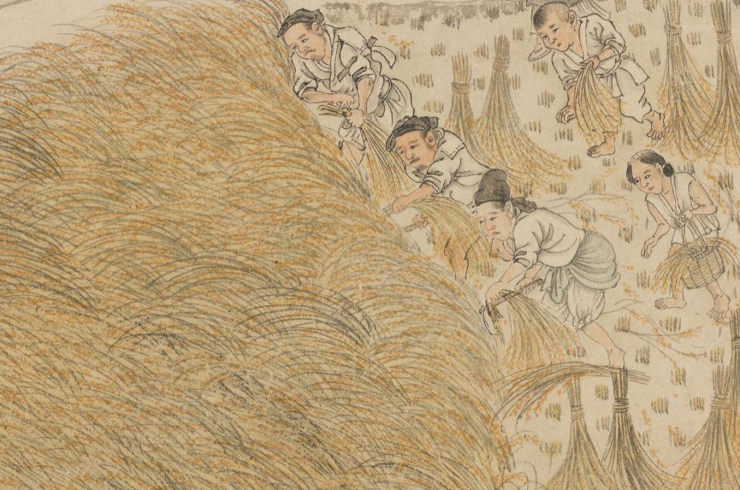 古画放大:一粒米怎样走上古人的餐桌?