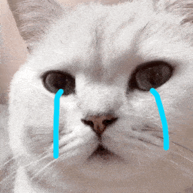 猫哭表情包 眼泪汪汪图片