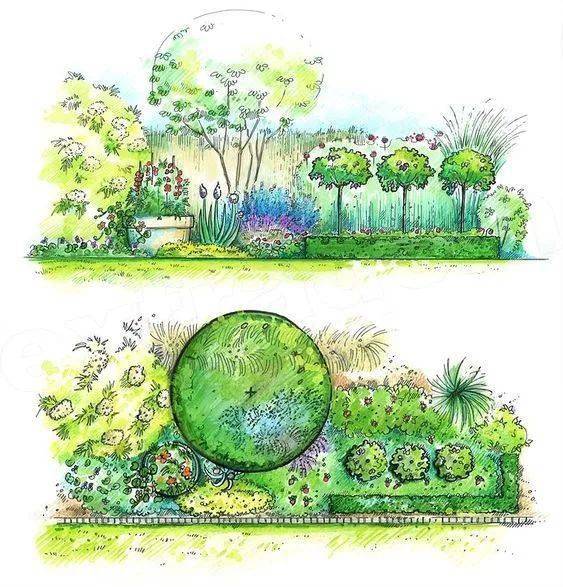 自然界中的树千姿百态,各具特色,不仅是景观手绘中最重要的组成部分