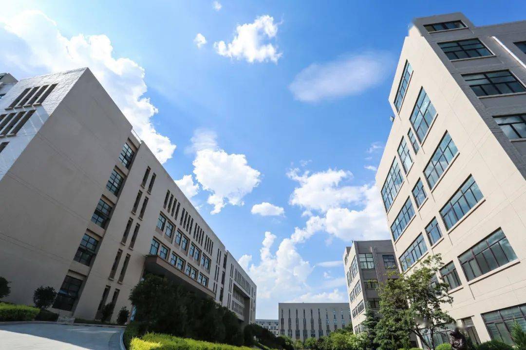 高考多少分可以报考培华2020招生信息全攻略来了