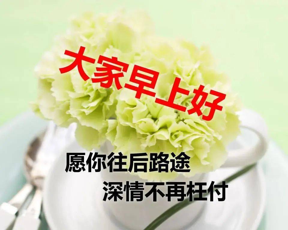 清晨精美的早上好问候祝福图片2020新早上好问候表情祝福图片