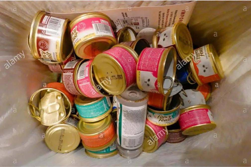 空罐头记得踩扁了再扔不然真的会卡死猫