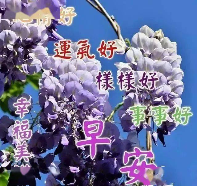 清晨問候早上好圖片溫馨祝福語錄表情,暖心早上好圖片大全問候