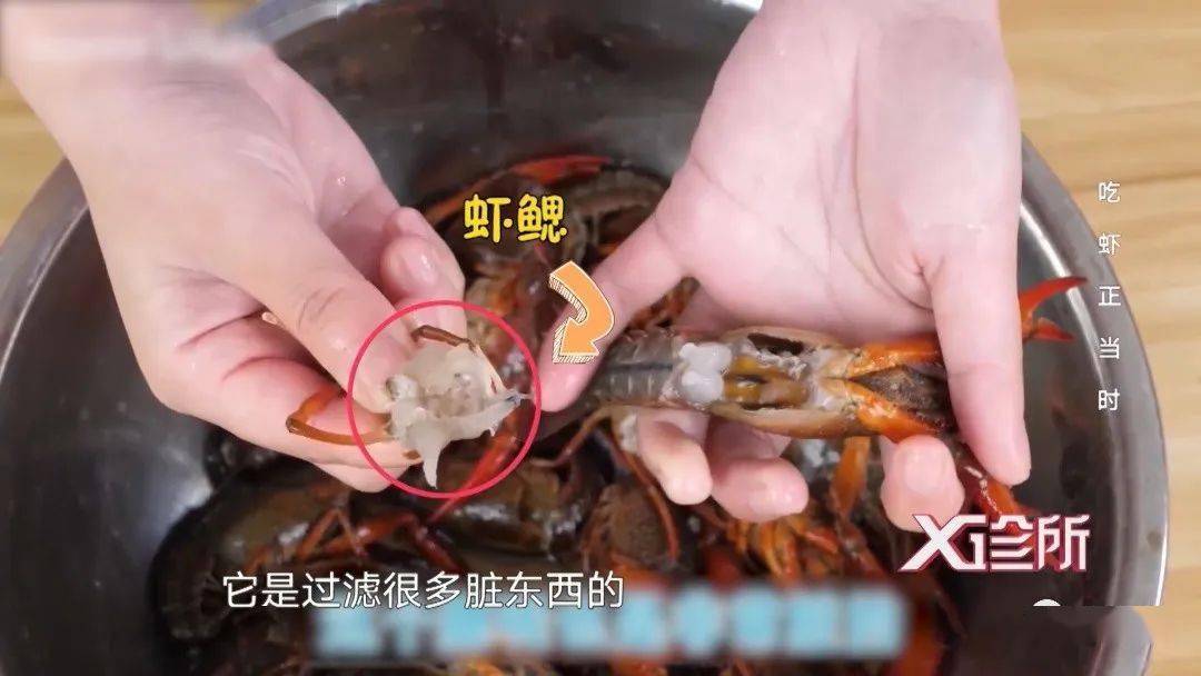 别再嗦虾黄了小龙虾这些地方才是最有营养的