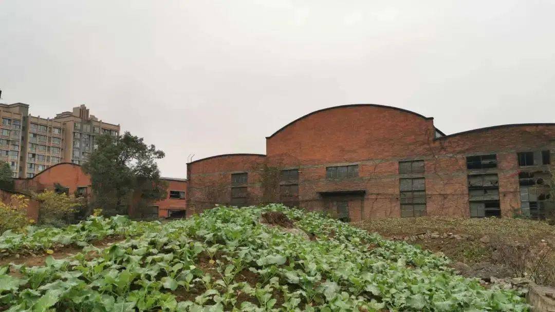 这些工业老建筑,承载着几代人的记忆…… 德阳旅游 08-19 17:56