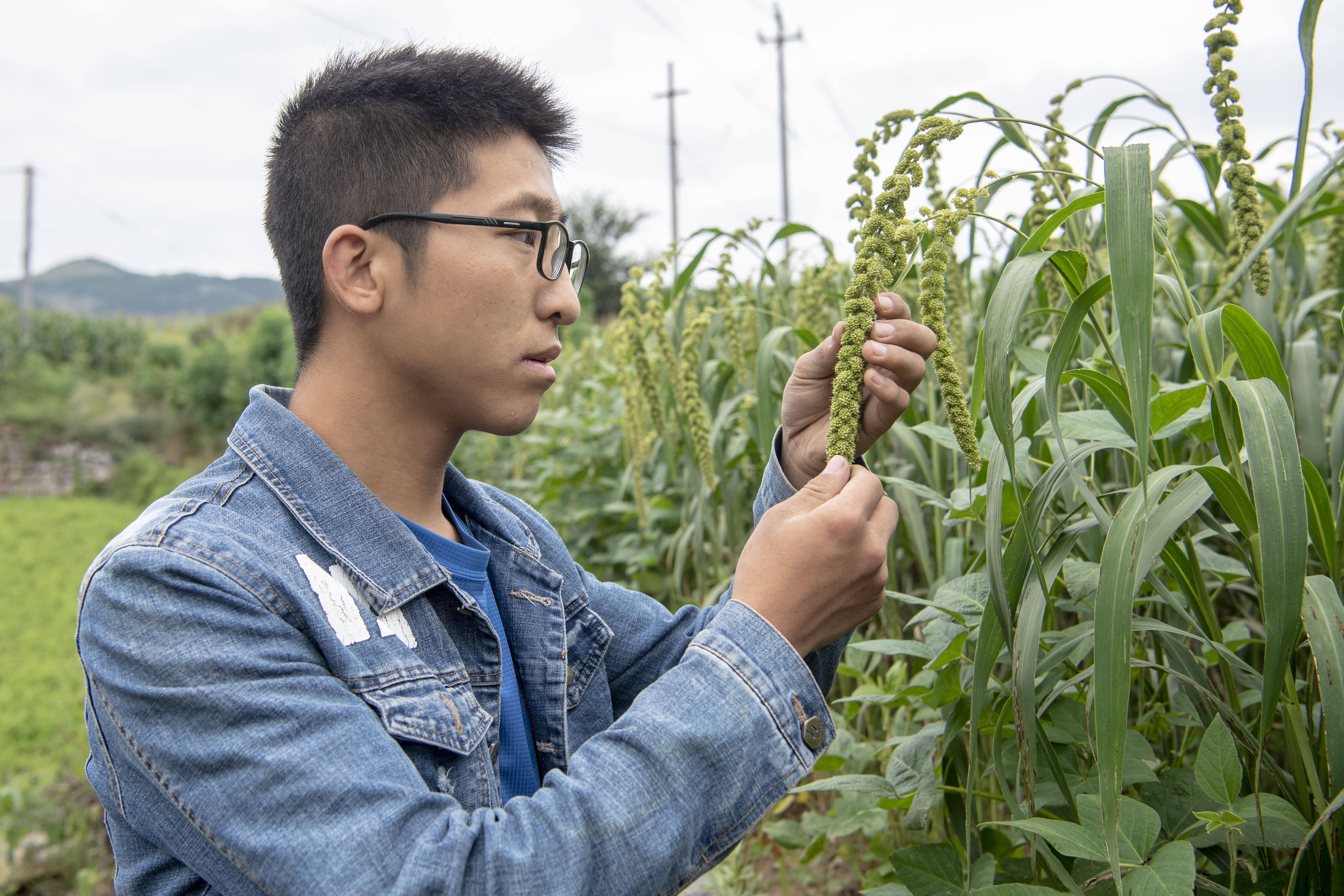 在平顺县安达种植专业合作社内,王亚鹏和母亲徐苗玲